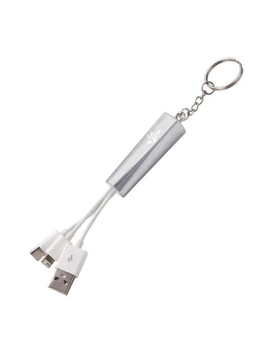 Silver Light-Up Charging Cable with Key Ring w/CalCPA Logo